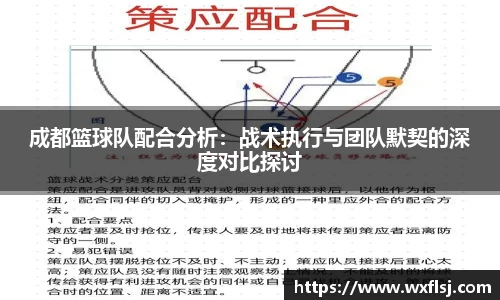 成都篮球队配合分析:战术执行与团队默契的深度对比探讨